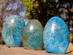Polished Blue Apatite Standing Display Pieces x 3 From Betroka, Madagascar - Toprock Gemstones and Minerals 