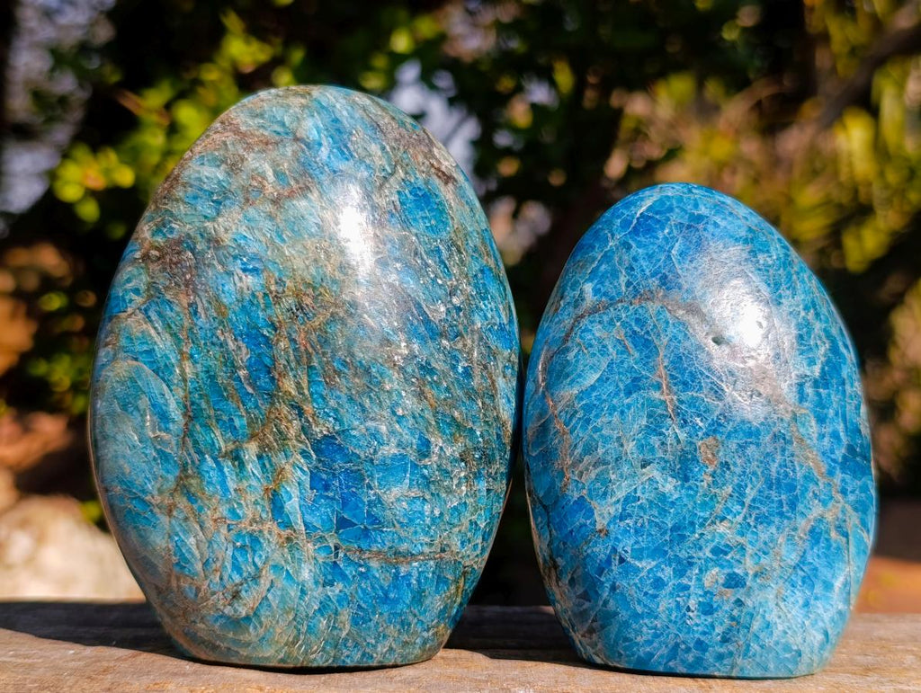 Polished Blue Apatite Standing Display Pieces x 3 From Betroka, Madagascar - Toprock Gemstones and Minerals 