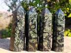 Polished Stromatolite "Kambaba Jasper" Display Crystals x 12 From Katsepy, Madagascar - Toprock Gemstones and Minerals 