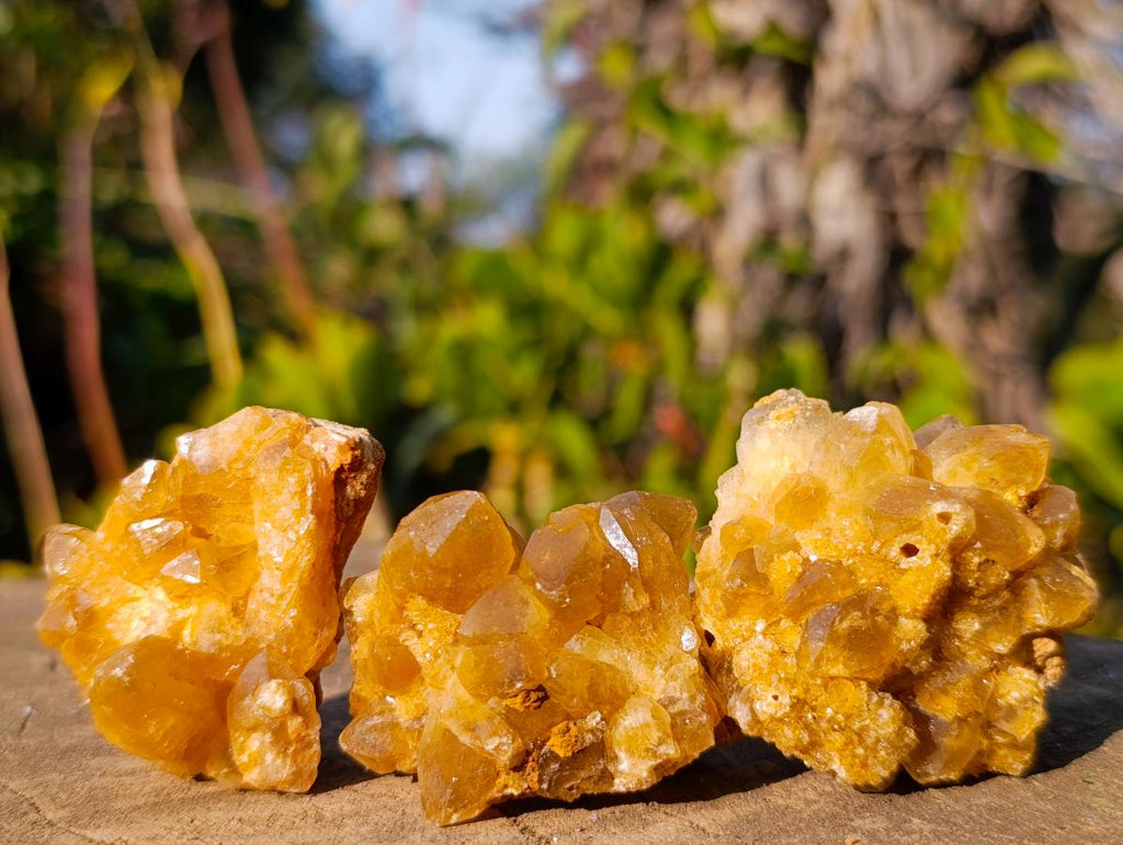 Natural Golden Limonite Quartz Clusters x 35 From Solwezi, Zambia - Toprock Gemstones and Minerals 
