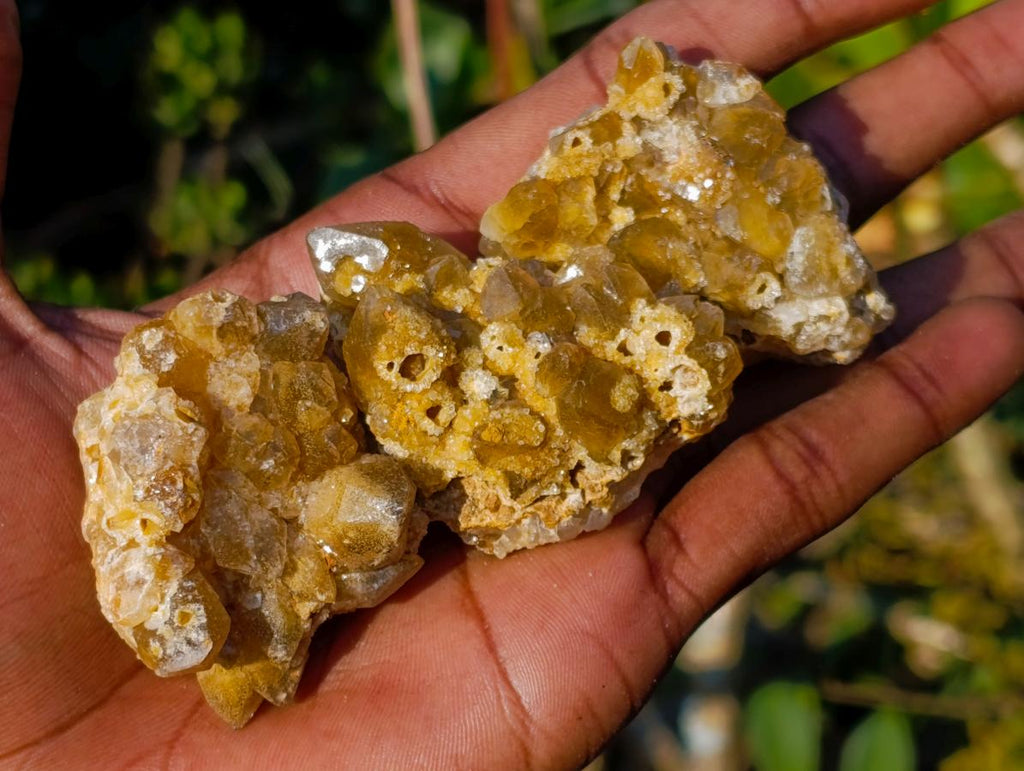 Natural Golden Limonite Quartz Clusters x 35 From Solwezi, Zambia - Toprock Gemstones and Minerals 