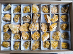 Natural Golden Limonite Quartz Clusters x 35 From Solwezi, Zambia - Toprock Gemstones and Minerals 