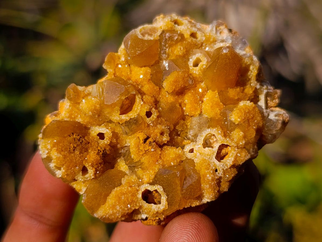 Natural Golden Limonite Quartz Clusters x 35 From Solwezi, Zambia - Toprock Gemstones and Minerals 