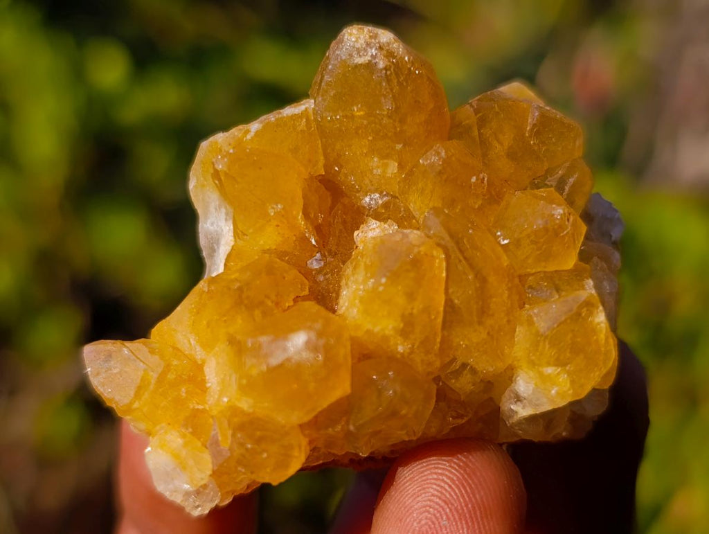 Natural Golden Limonite Quartz Clusters x 35 From Solwezi, Zambia - Toprock Gemstones and Minerals 