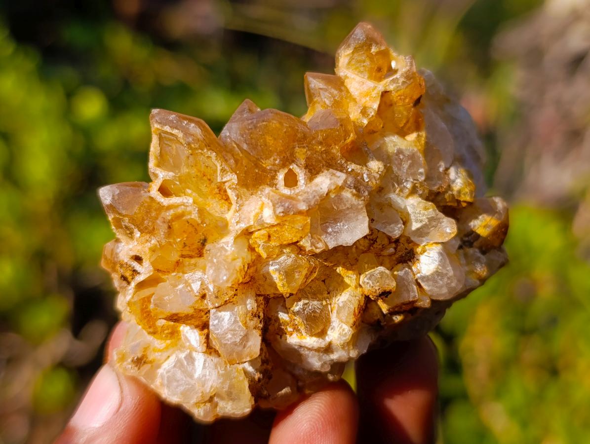 Natural Golden Limonite Quartz Clusters x 35 From Solwezi, Zambia - Toprock Gemstones and Minerals 