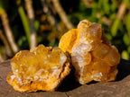 Natural Golden Limonite Quartz Clusters x 35 From Solwezi, Zambia - Toprock Gemstones and Minerals 