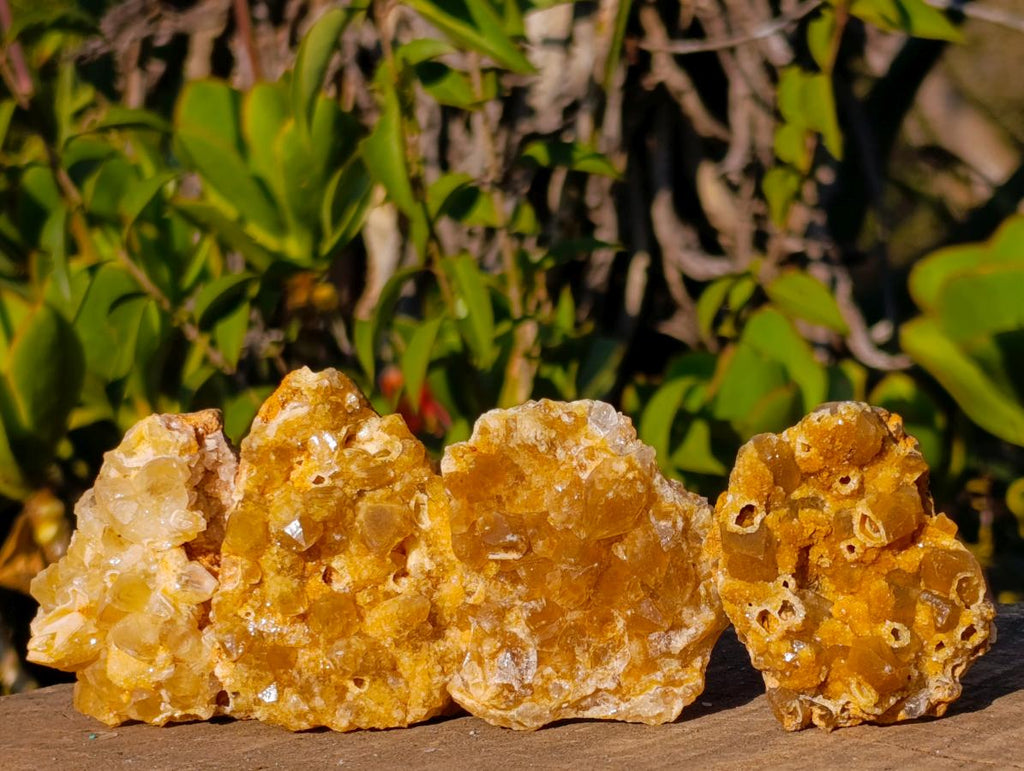 Natural Golden Limonite Quartz Clusters x 35 From Solwezi, Zambia - Toprock Gemstones and Minerals 