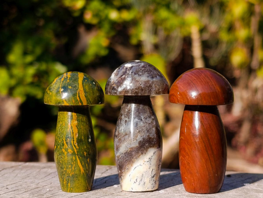 Polished Small Mixed Selection of Mushrooms x 35 From Madagascar - Toprock Gemstones and Minerals 