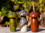 Polished Small Mixed Selection of Mushrooms x 35 From Madagascar - Toprock Gemstones and Minerals 