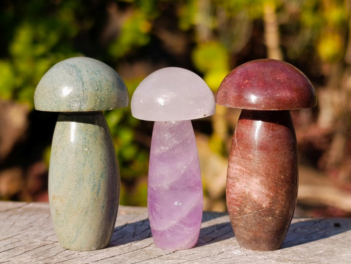 Polished Small Mixed Selection of Mushrooms x 35 From Madagascar - Toprock Gemstones and Minerals 