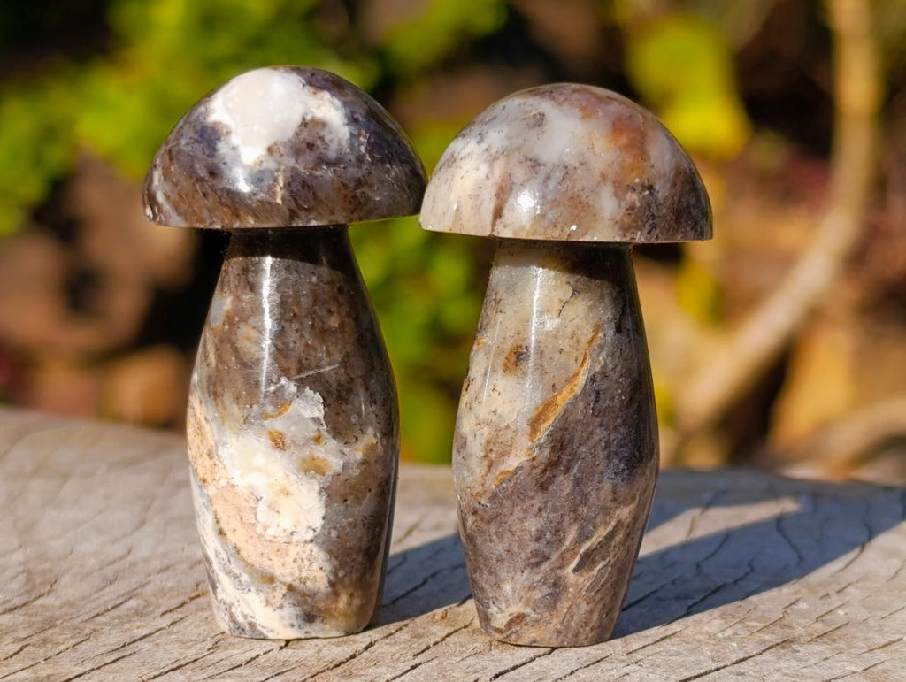 Polished Small Mixed Selection of Mushrooms x 35 From Madagascar - Toprock Gemstones and Minerals 
