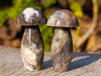 Polished Small Mixed Selection of Mushrooms x 35 From Madagascar - Toprock Gemstones and Minerals 