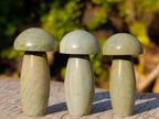Polished Small Mixed Selection of Mushrooms x 35 From Madagascar - Toprock Gemstones and Minerals 