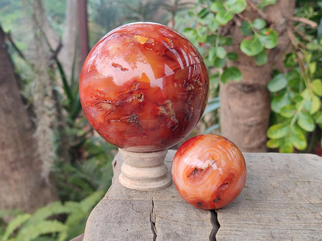 Polished and Natural Carnelian Agate Gemstone Spheres x 4 From Madagascar
