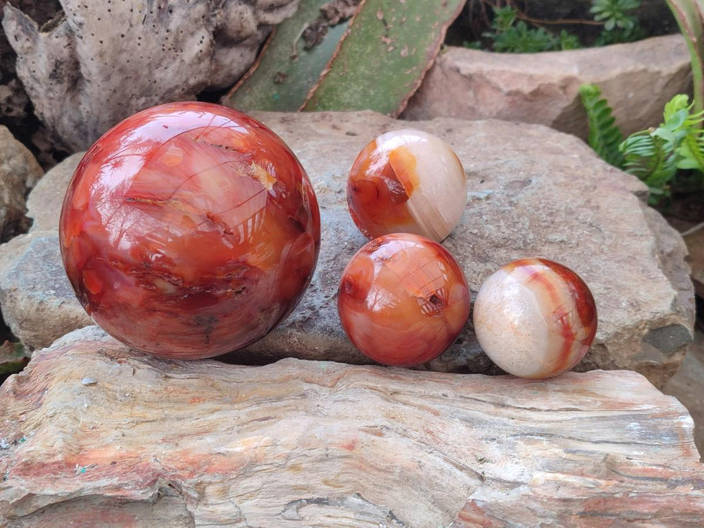 Polished and Natural Carnelian Agate Gemstone Spheres x 4 From Madagascar
