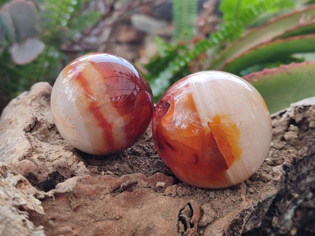 Polished and Natural Carnelian Agate Gemstone Spheres x 4 From Madagascar