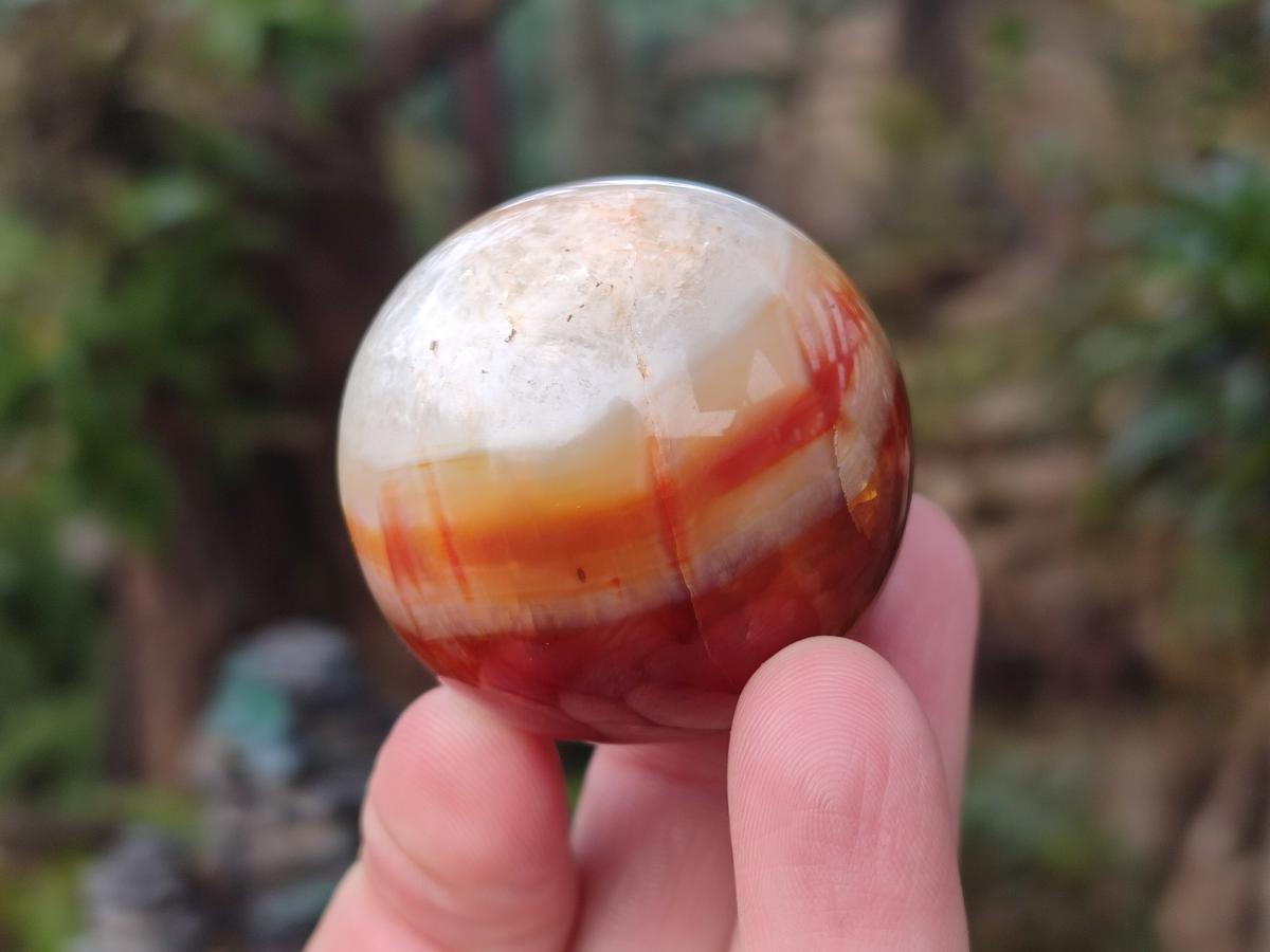 Polished and Natural Carnelian Agate Gemstone Spheres x 4 From Madagascar