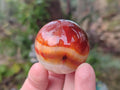 Polished and Natural Carnelian Agate Gemstone Spheres x 4 From Madagascar