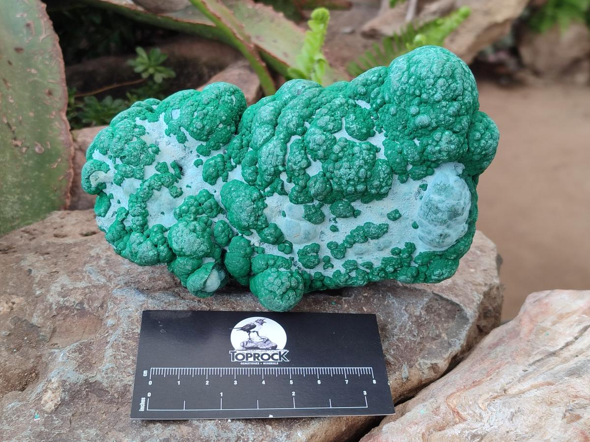 Natural Botryoidal Malacolla Specimens x 3 From Kulukuluku, Congo