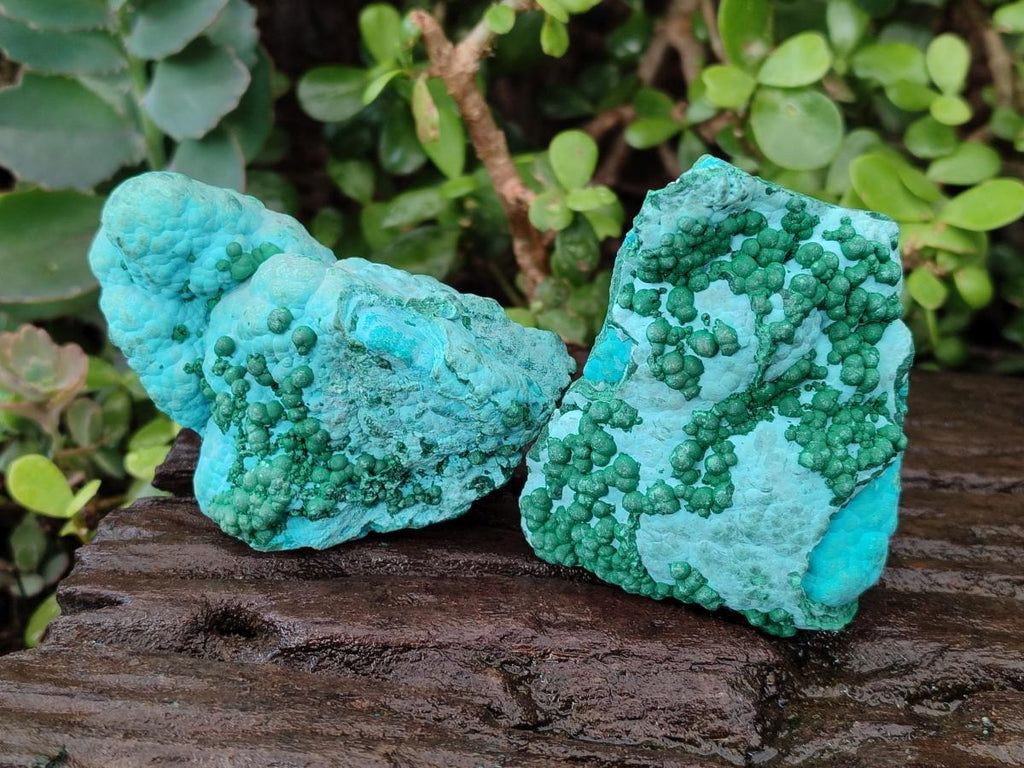 Natural Botryoidal Malacolla Specimens x 3 From Kulukuluku, Congo