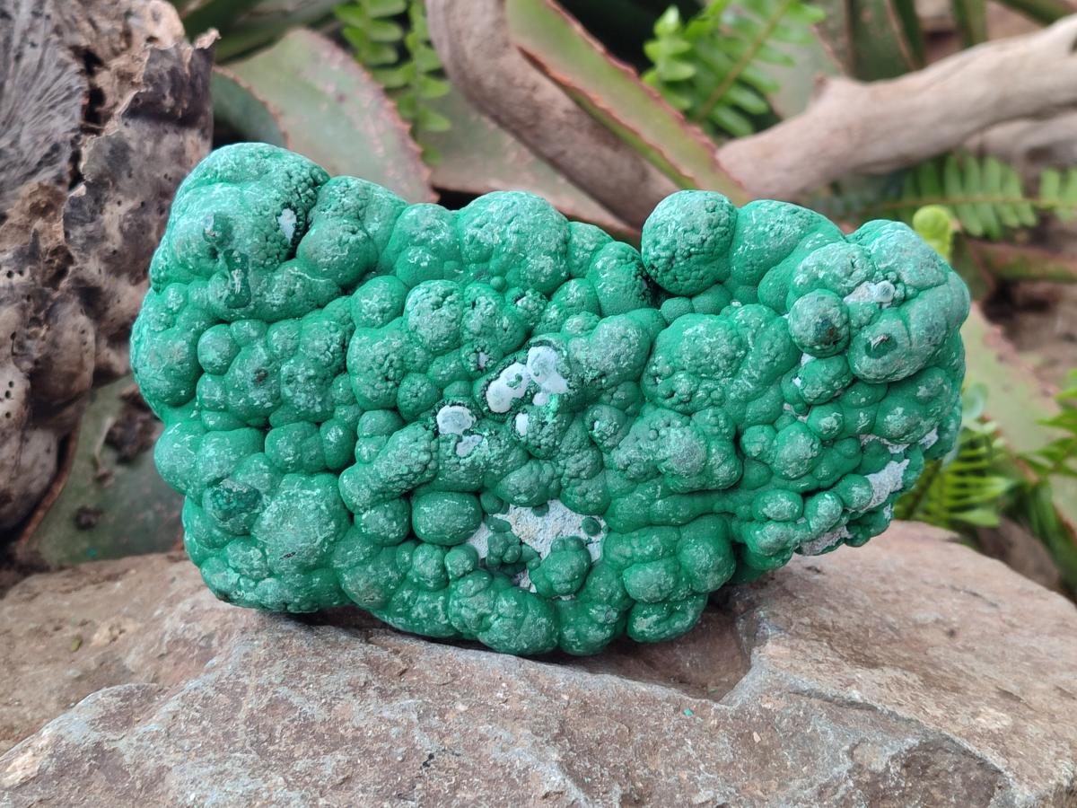 Natural Botryoidal Malacolla Specimens x 3 From Kulukuluku, Congo