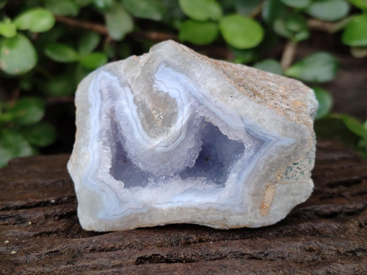 Polished One Side Blue Lace Agate Geodes x 12 From Nsanje, Malawi