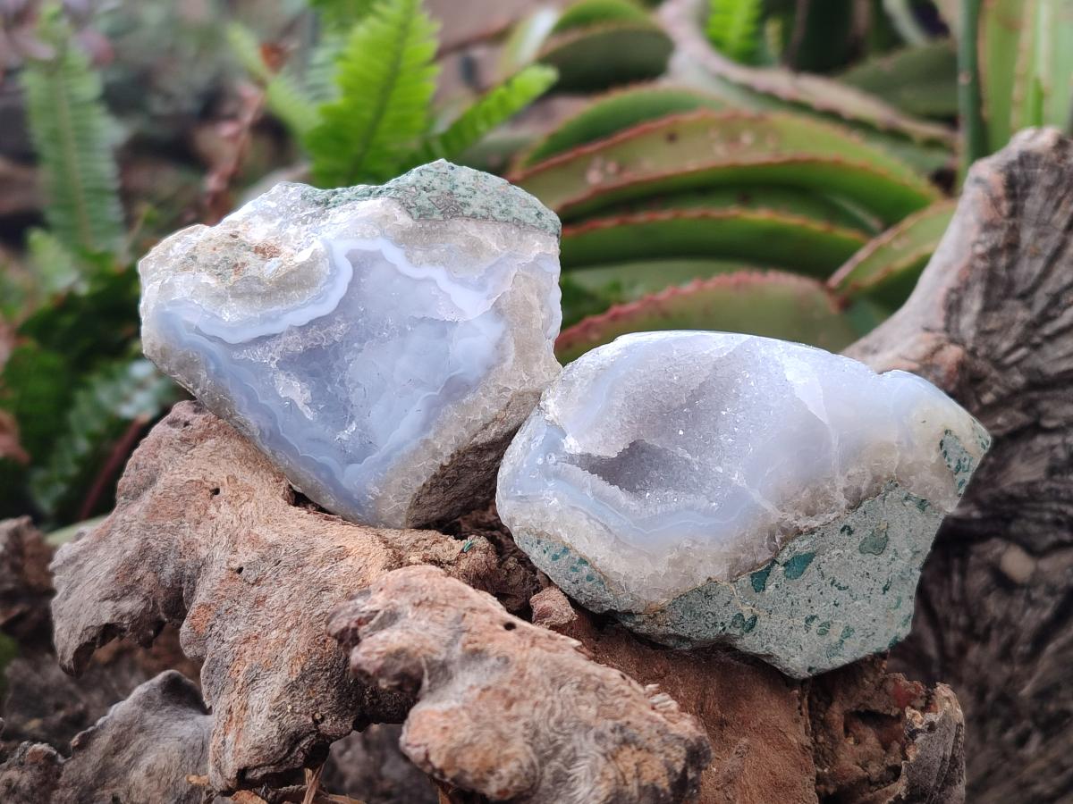 Polished One Side Blue Lace Agate Geodes x 12 From Nsanje, Malawi