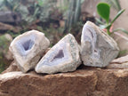 Polished One Side Blue Lace Agate Geodes x 12 From Nsanje, Malawi