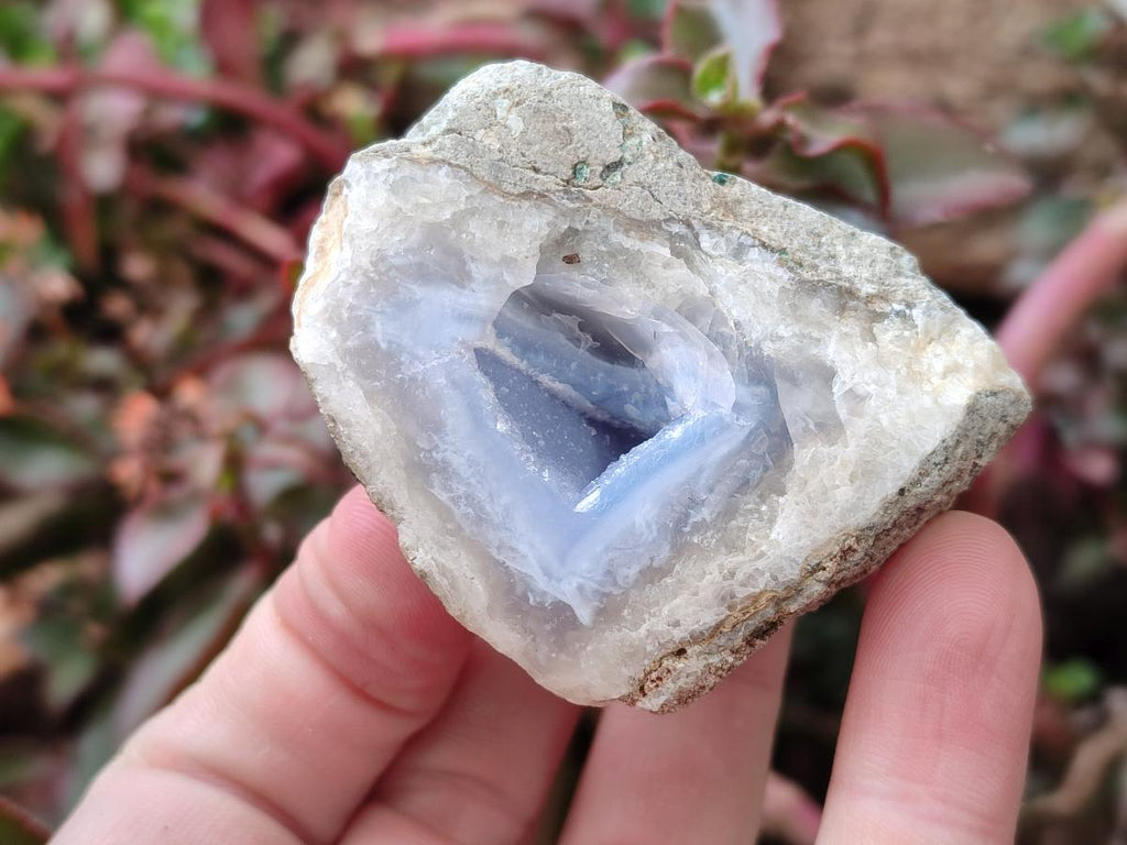 Polished One Side Blue Lace Agate Geodes x 12 From Nsanje, Malawi