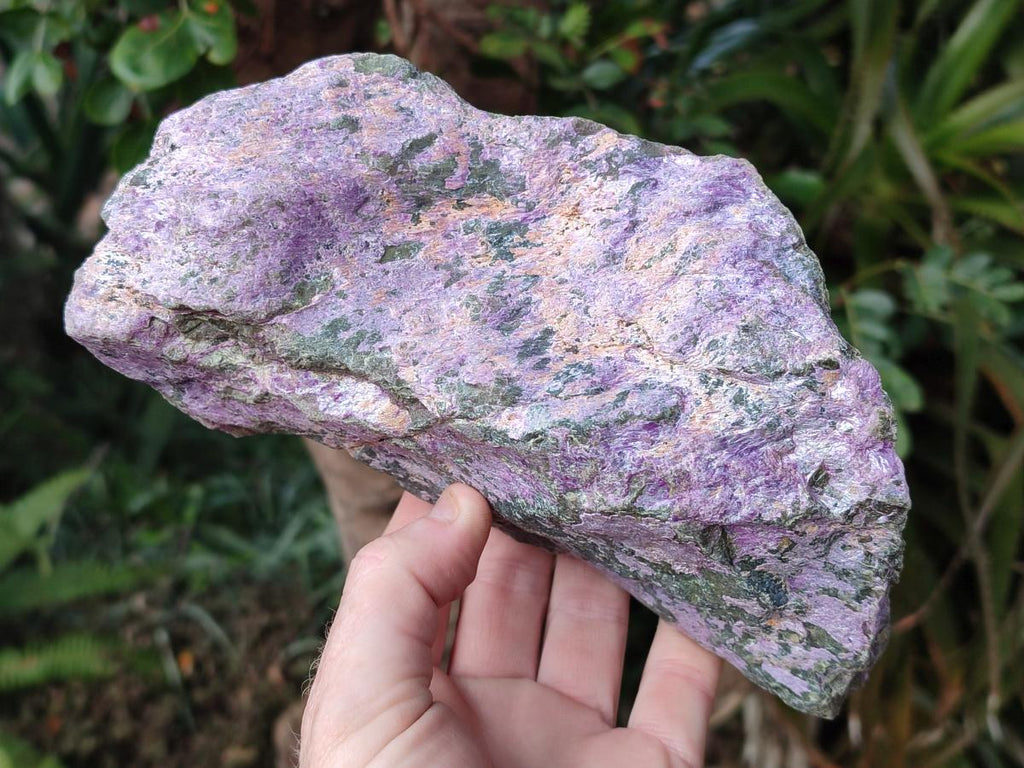 Natural Cobbed Stichtite Specimens x 6 From Barberton, South Africa