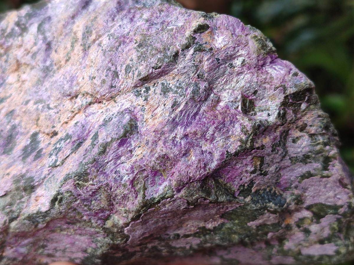 Natural Cobbed Stichtite Specimens x 6 From Barberton, South Africa