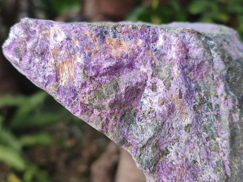 Natural Cobbed Stichtite Specimens x 6 From Barberton, South Africa