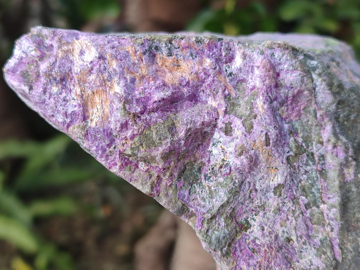 Natural Cobbed Stichtite Specimens x 6 From Barberton, South Africa