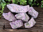 Natural Cobbed Stichtite Specimens x 6 From Barberton, South Africa