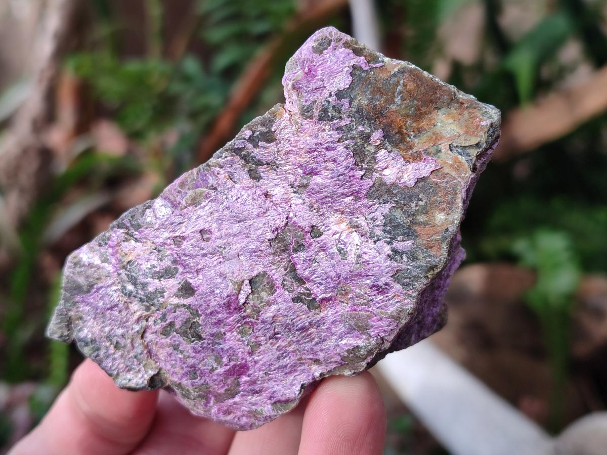 Natural Cobbed Stichtite Specimens x 6 From Barberton, South Africa