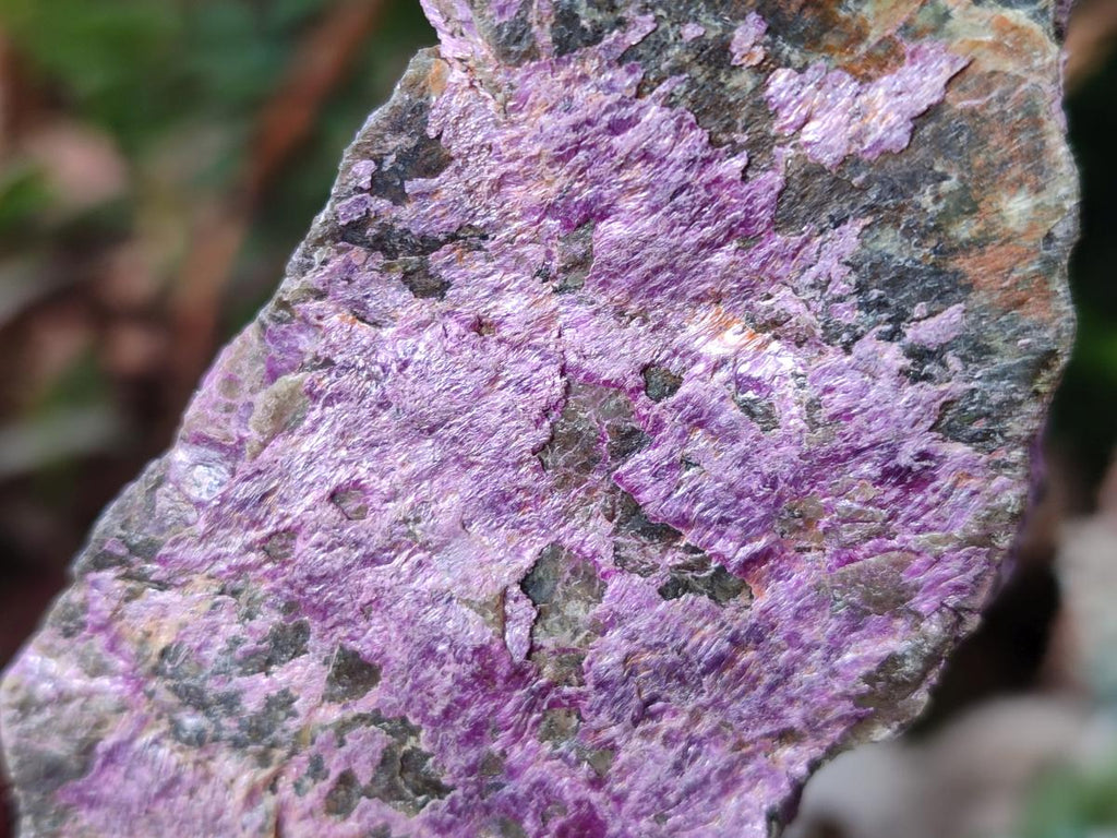 Natural Cobbed Stichtite Specimens x 6 From Barberton, South Africa