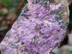 Natural Cobbed Stichtite Specimens x 6 From Barberton, South Africa