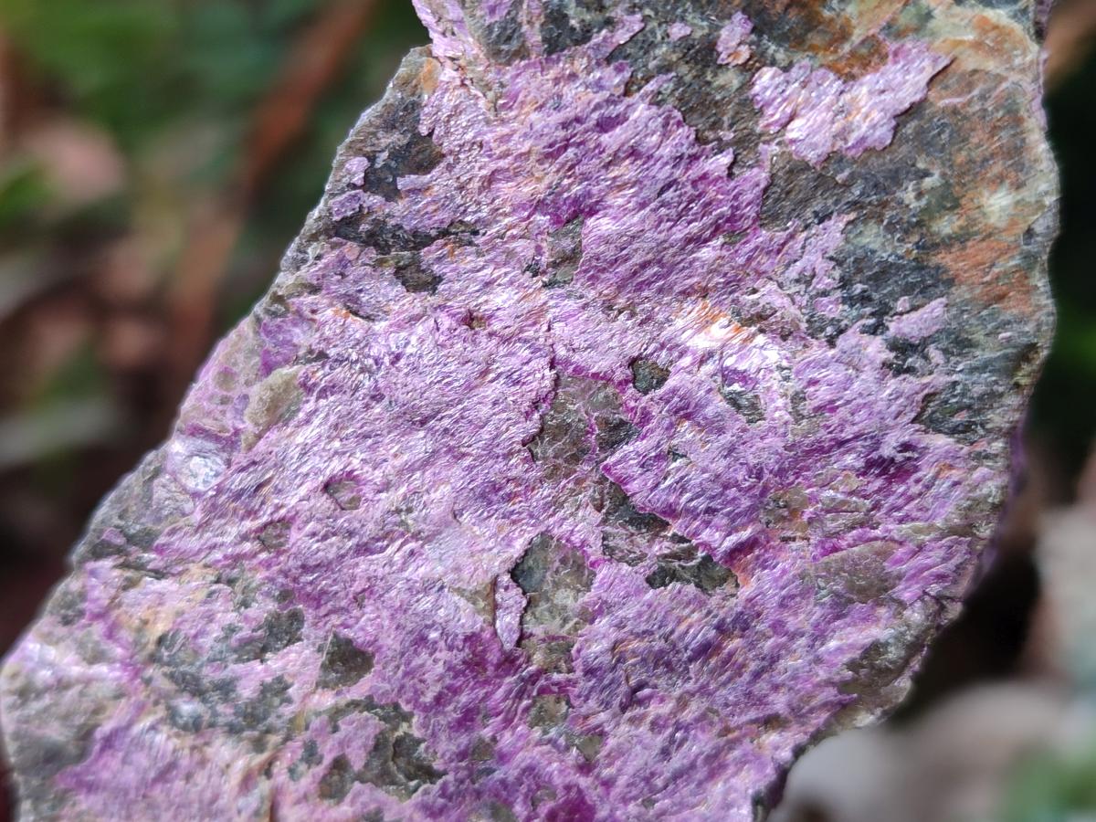 Natural Cobbed Stichtite Specimens x 6 From Barberton, South Africa