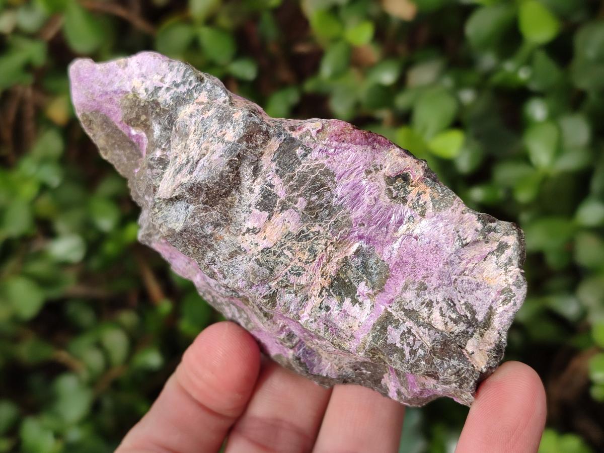 Natural Cobbed Stichtite Specimens x 6 From Barberton, South Africa