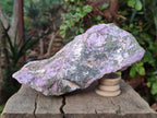 Natural Cobbed Stichtite Specimens x 6 From Barberton, South Africa
