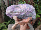 Natural Cobbed Stichtite Specimens x 6 From Barberton, South Africa