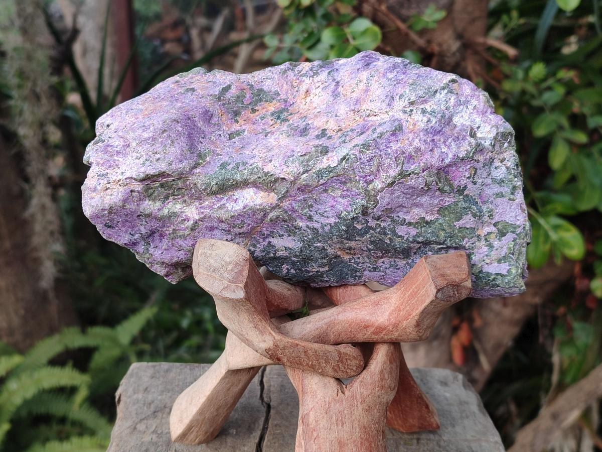 Natural Cobbed Stichtite Specimens x 6 From Barberton, South Africa