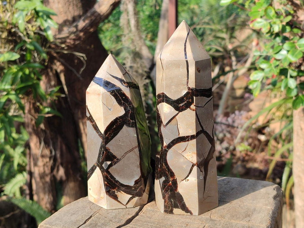 Polished and Natural Septerye Sauvage Display Crystals x 2 From Mahajanga, Madagascar