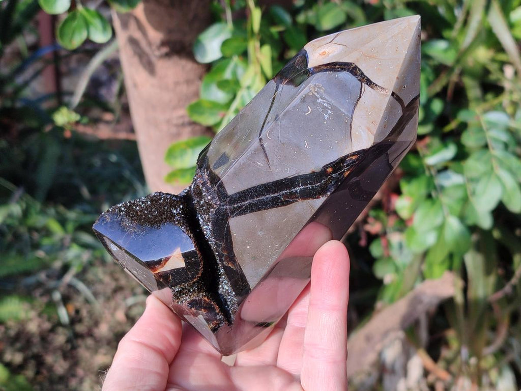 Polished and Natural Septerye Sauvage Display Crystals x 2 From Mahajanga, Madagascar