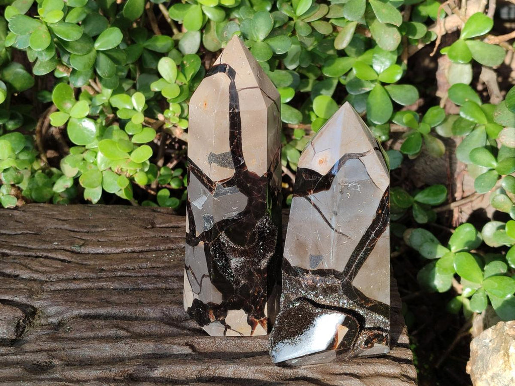 Polished and Natural Septerye Sauvage Display Crystals x 2 From Mahajanga, Madagascar