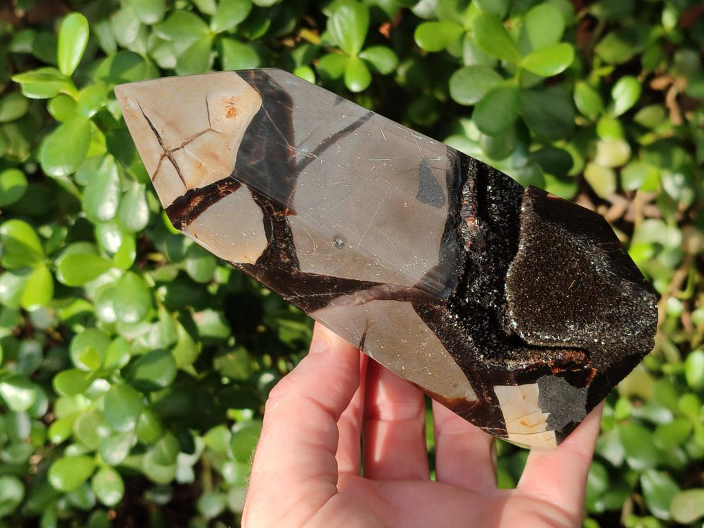 Polished and Natural Septerye Sauvage Display Crystals x 2 From Mahajanga, Madagascar