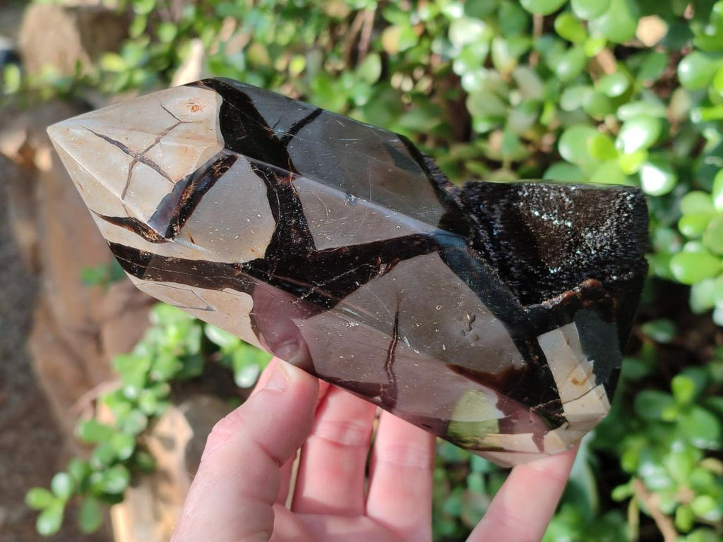 Polished and Natural Septerye Sauvage Display Crystals x 2 From Mahajanga, Madagascar