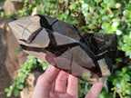 Polished and Natural Septerye Sauvage Display Crystals x 2 From Mahajanga, Madagascar