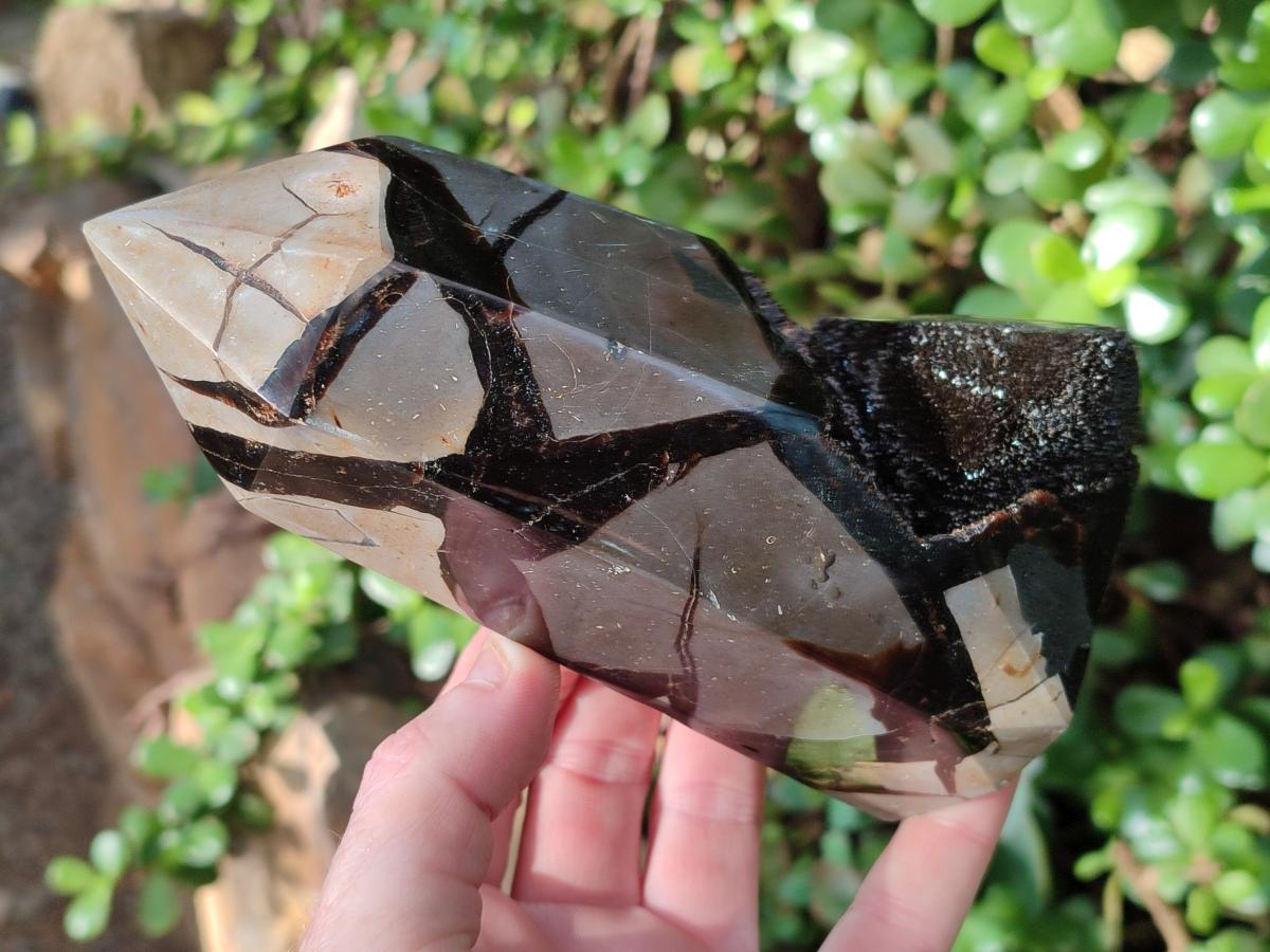 Polished and Natural Septerye Sauvage Display Crystals x 2 From Mahajanga, Madagascar