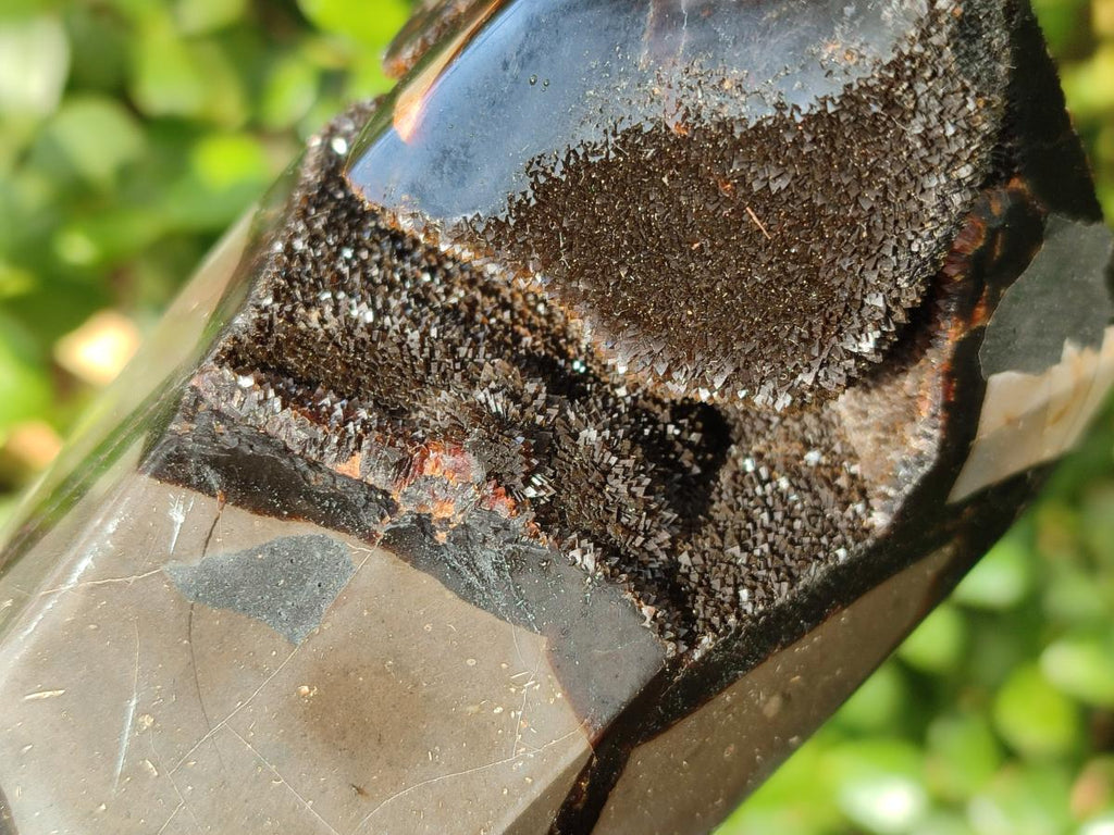Polished and Natural Septerye Sauvage Display Crystals x 2 From Mahajanga, Madagascar